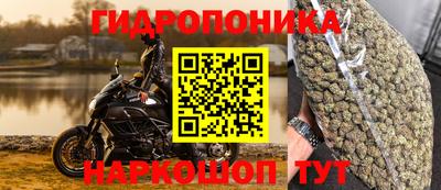 гидра Краснокаменск